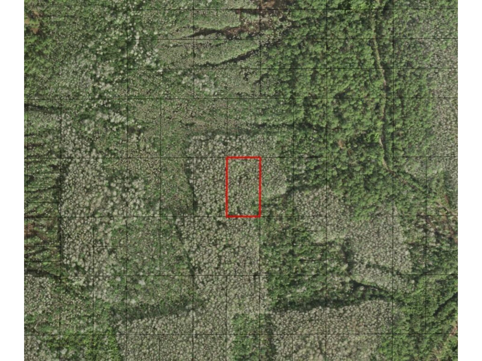 Image - 1