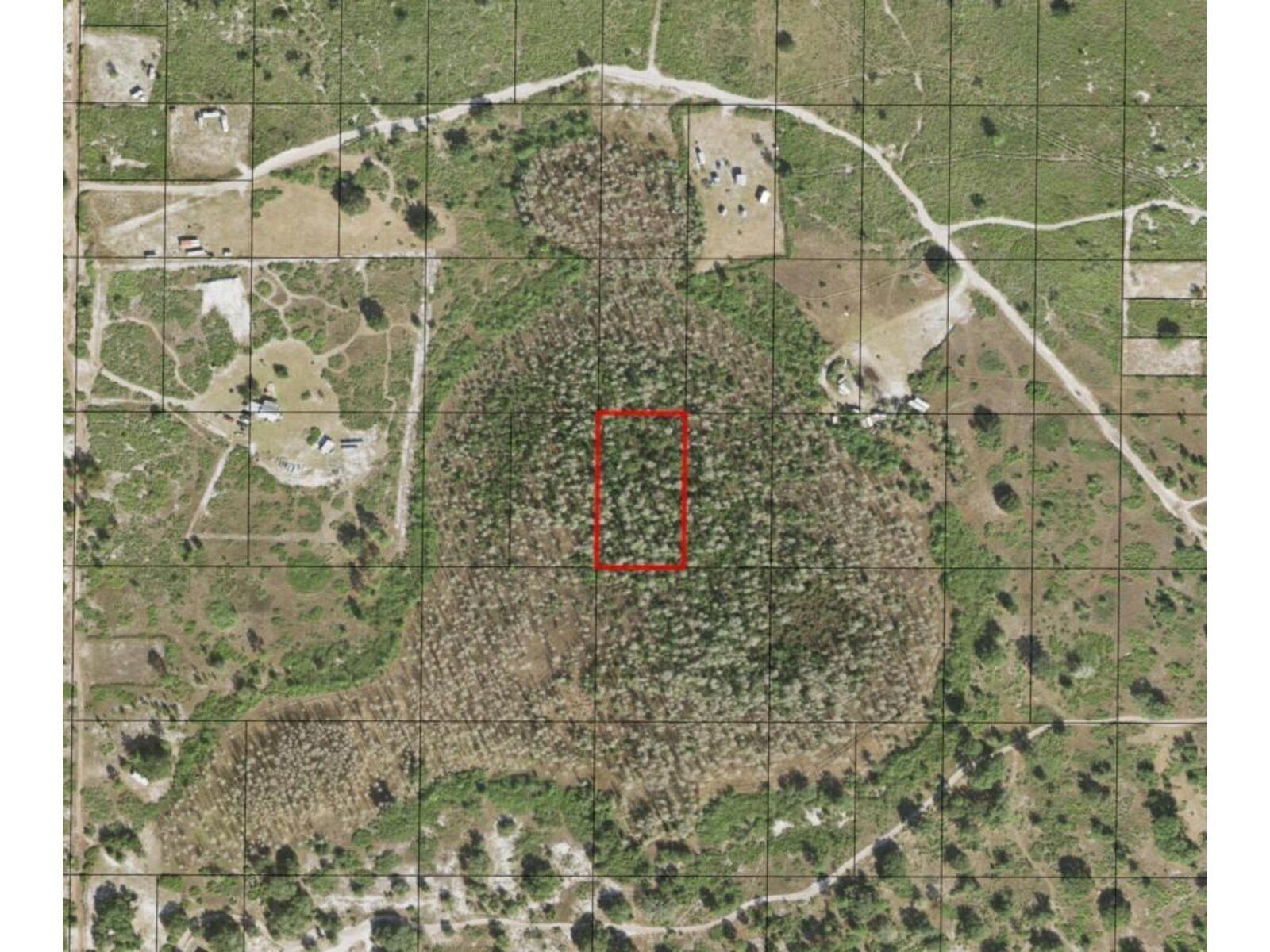 Image - 1