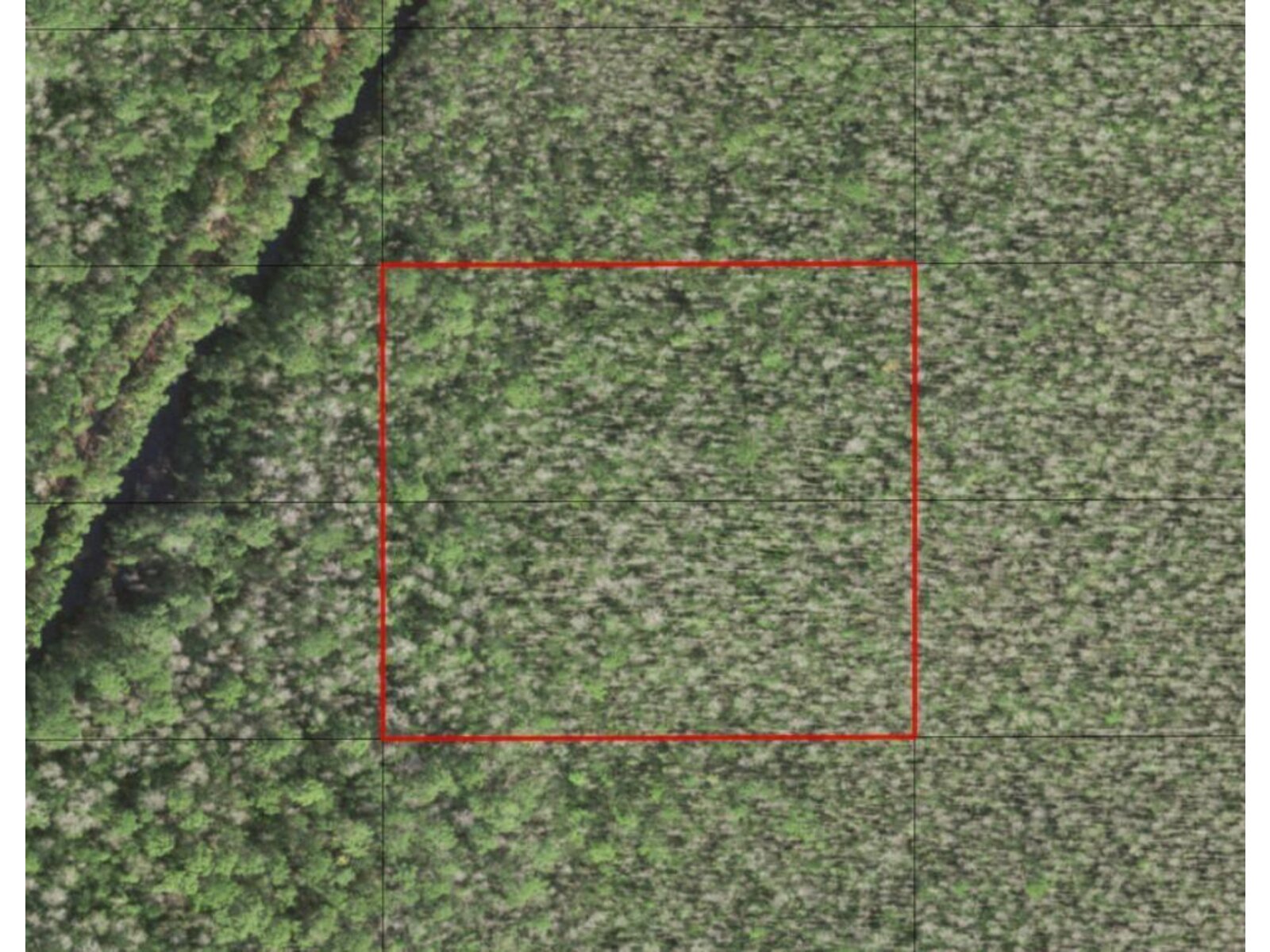 Image - 1