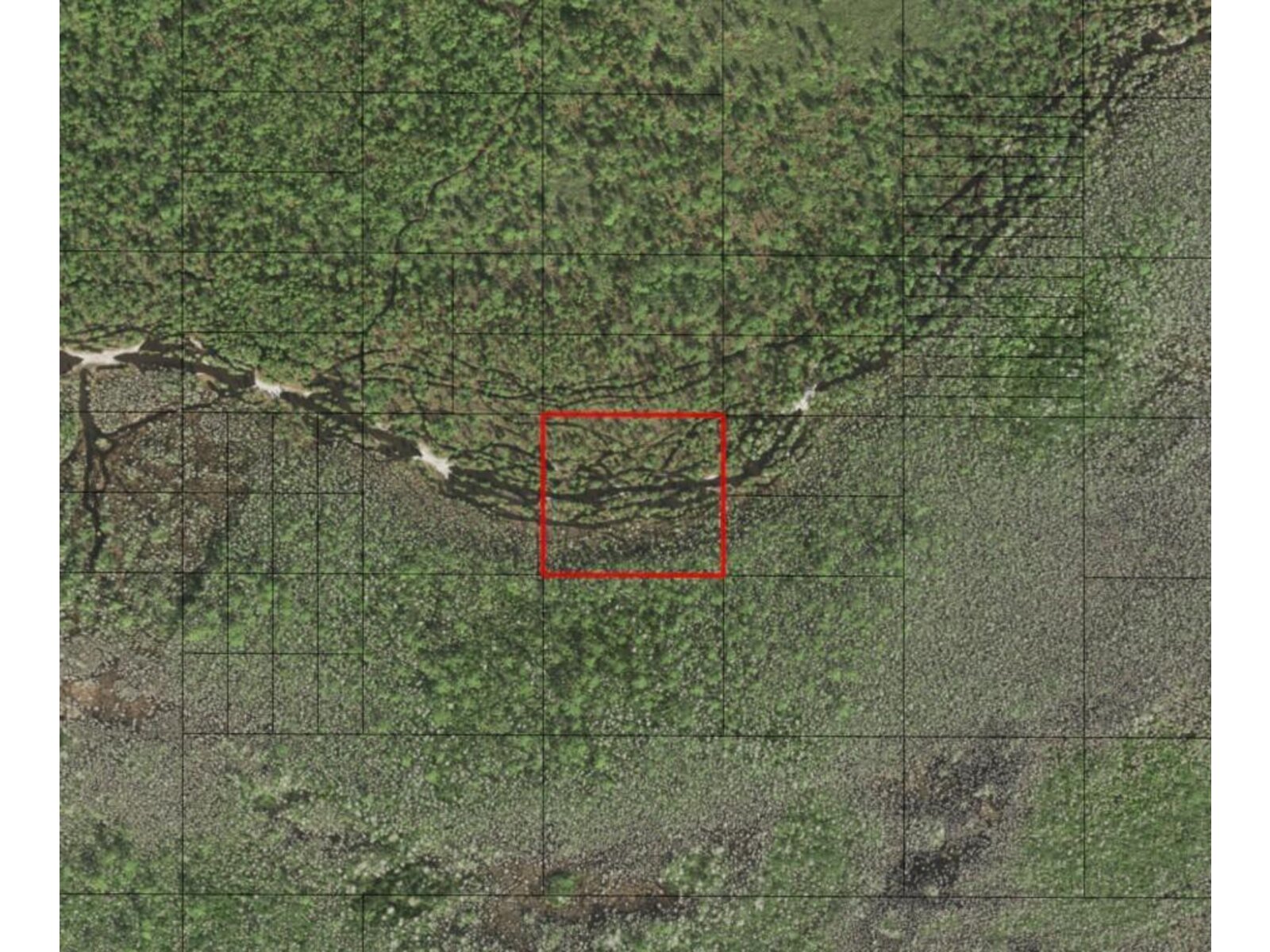 Image - 1