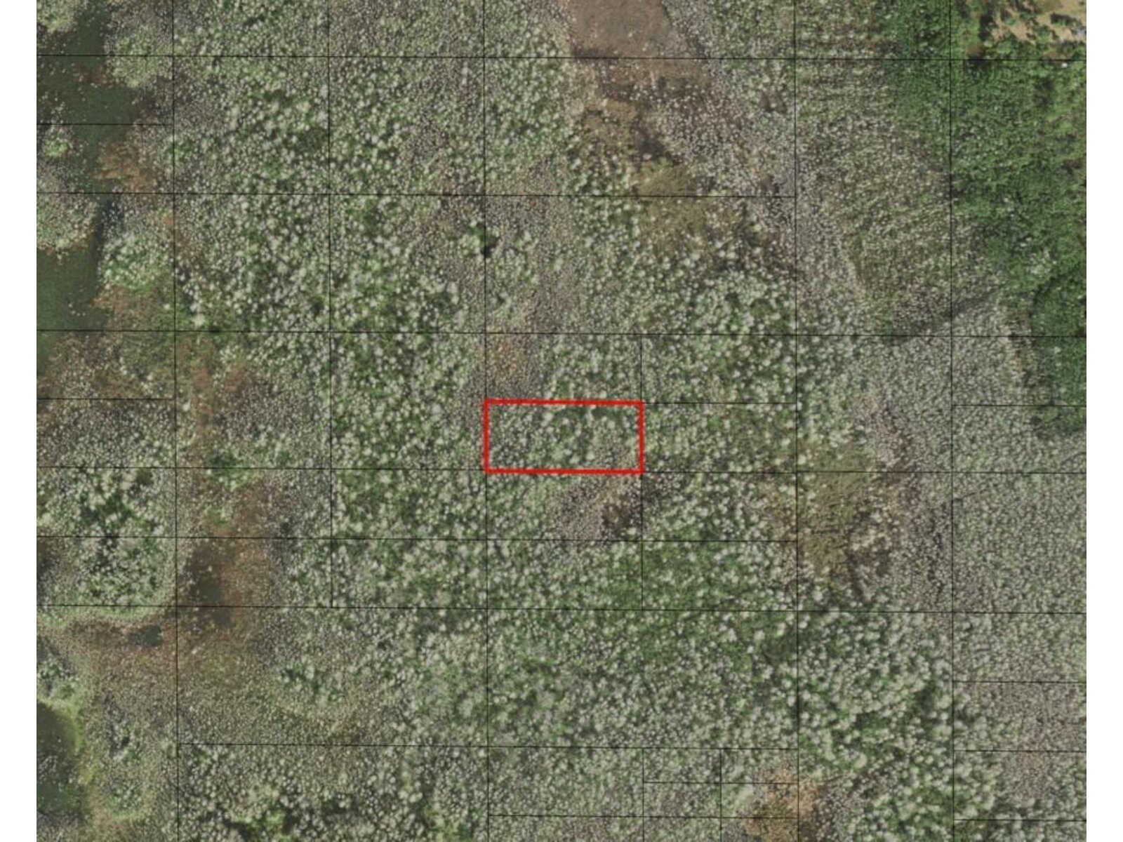 Image - 1