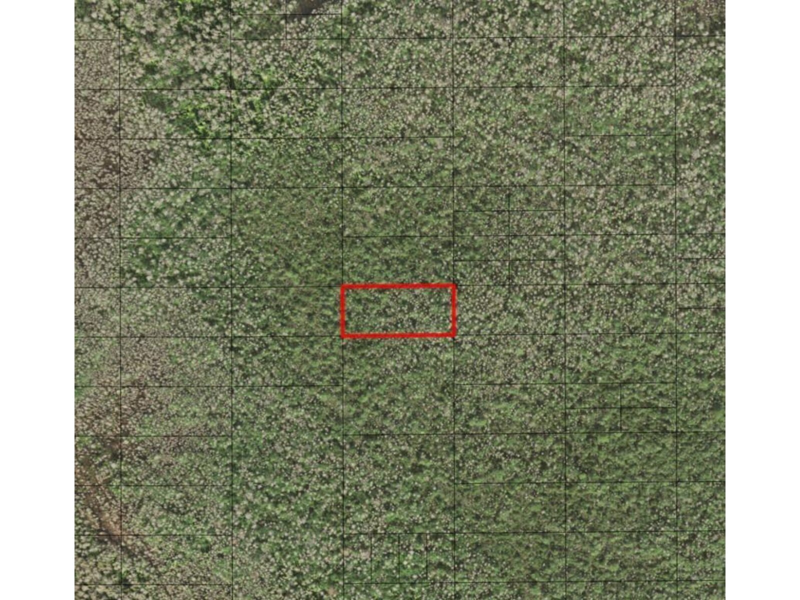 Image - 1