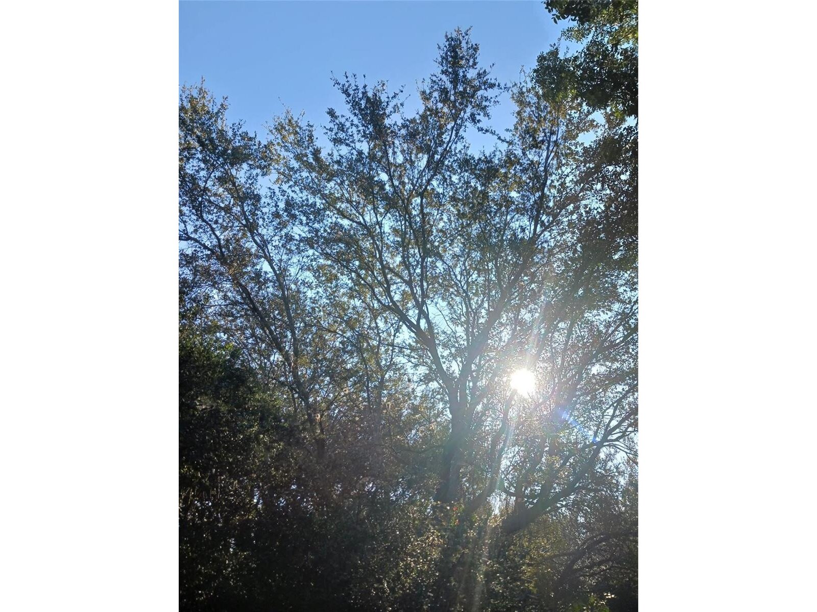 Image - 1