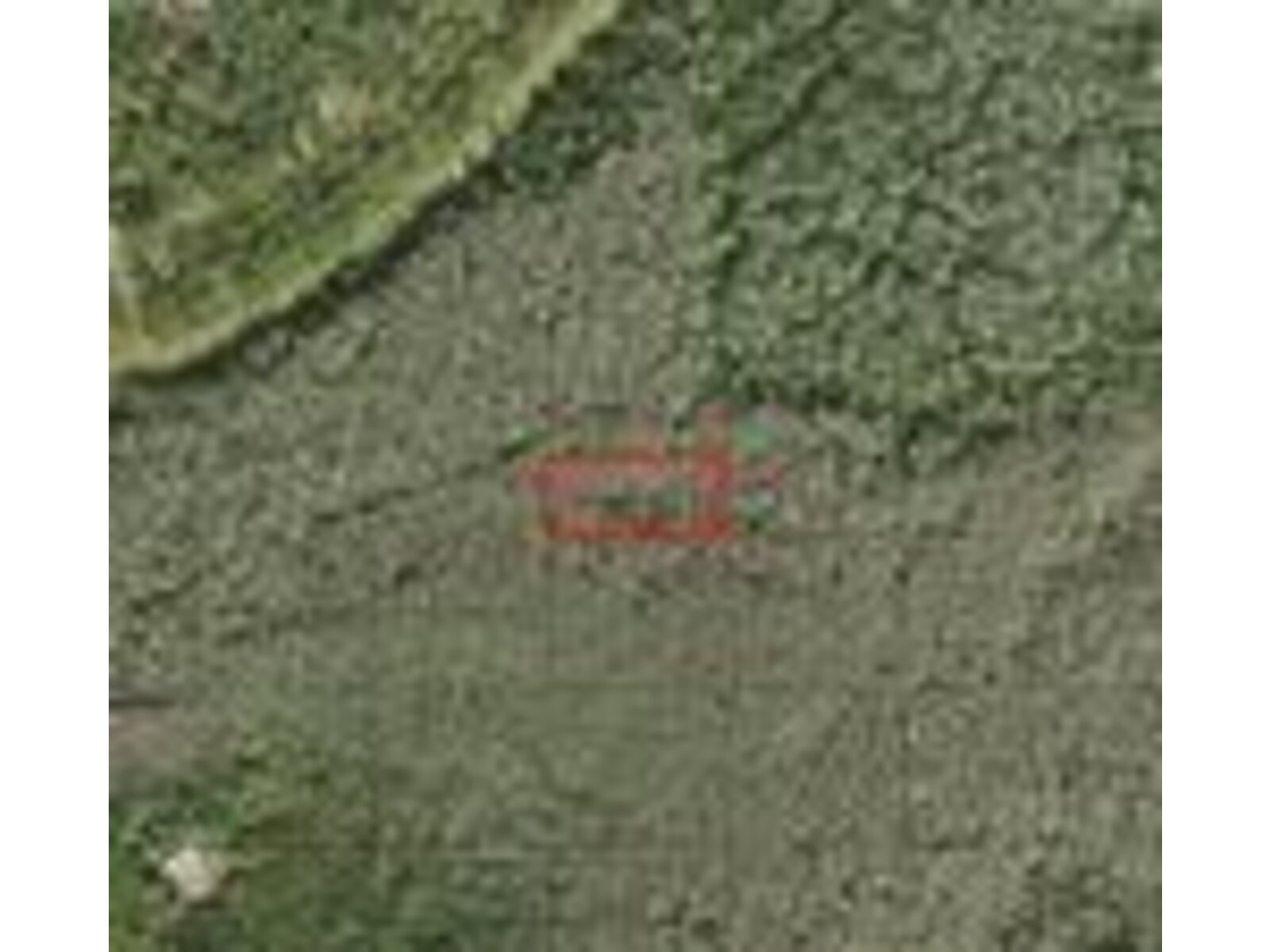 Image - 1