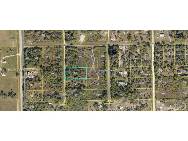 Image - 1