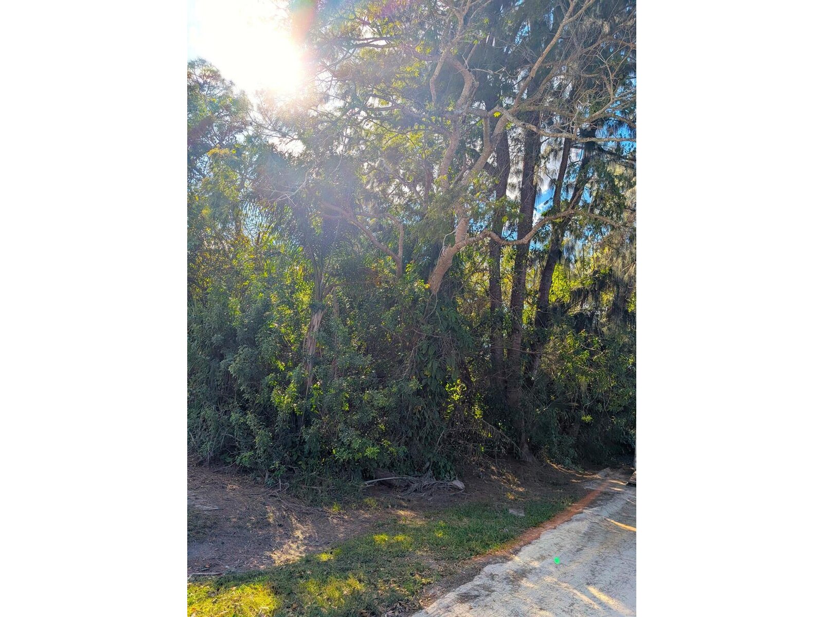 Image - 1