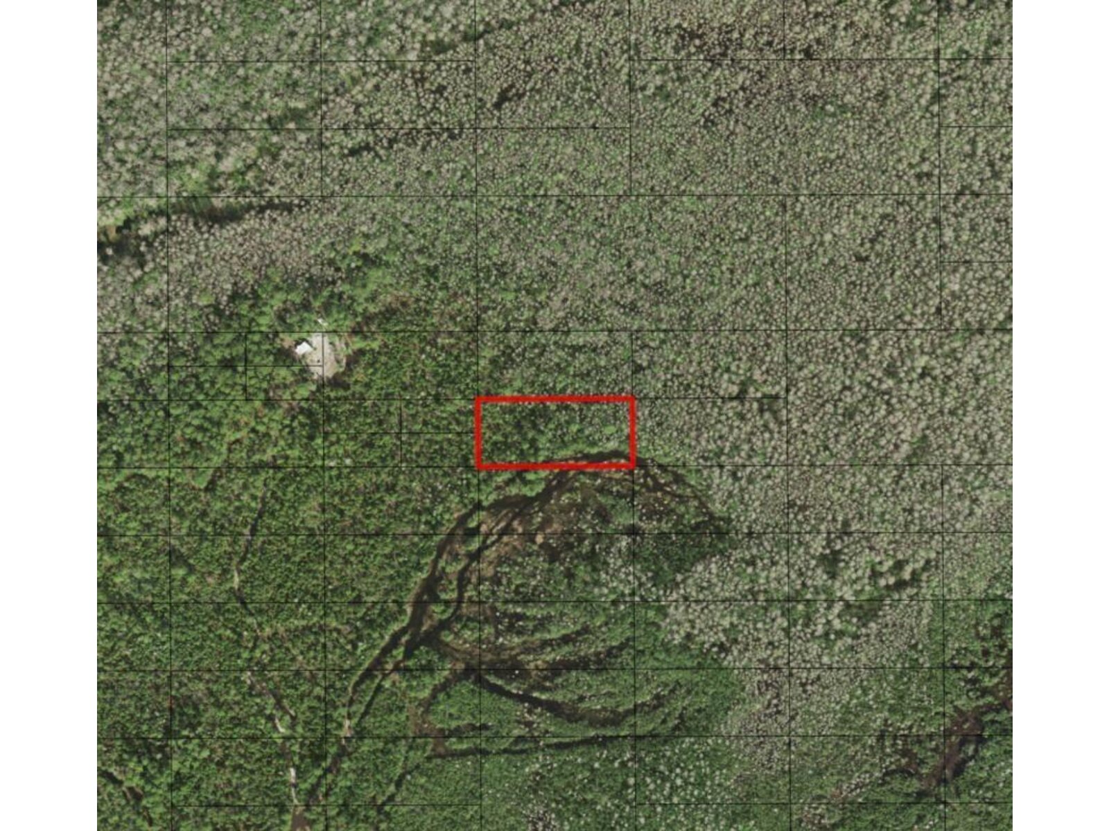 Image - 1
