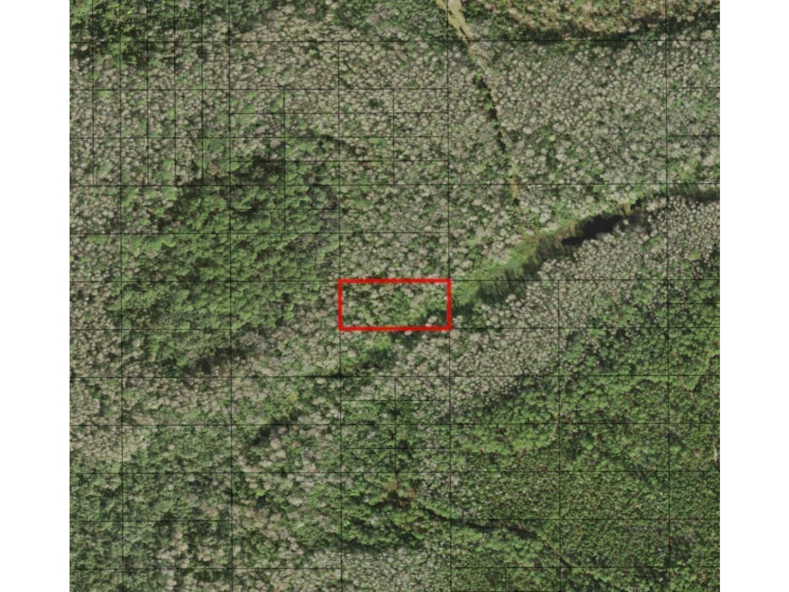 Image - 1