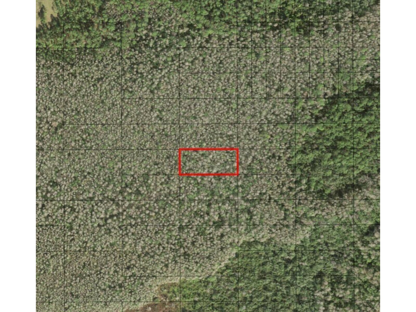 Image - 1