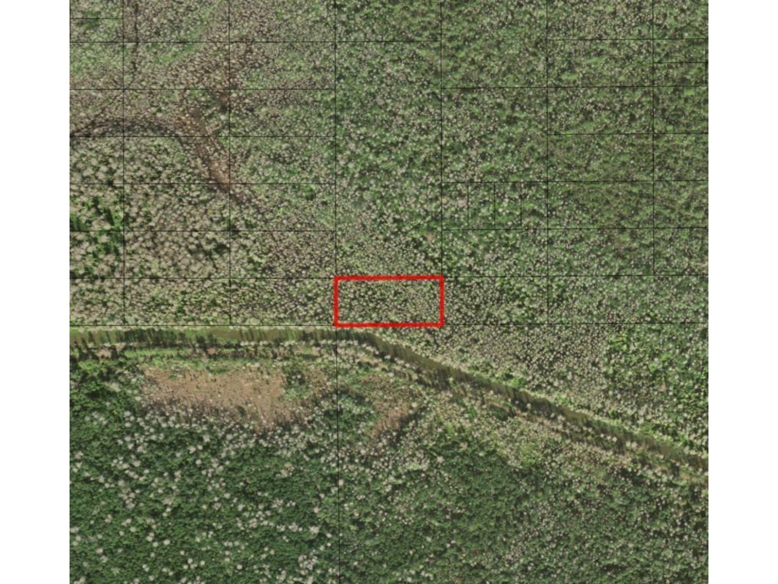 Image - 1