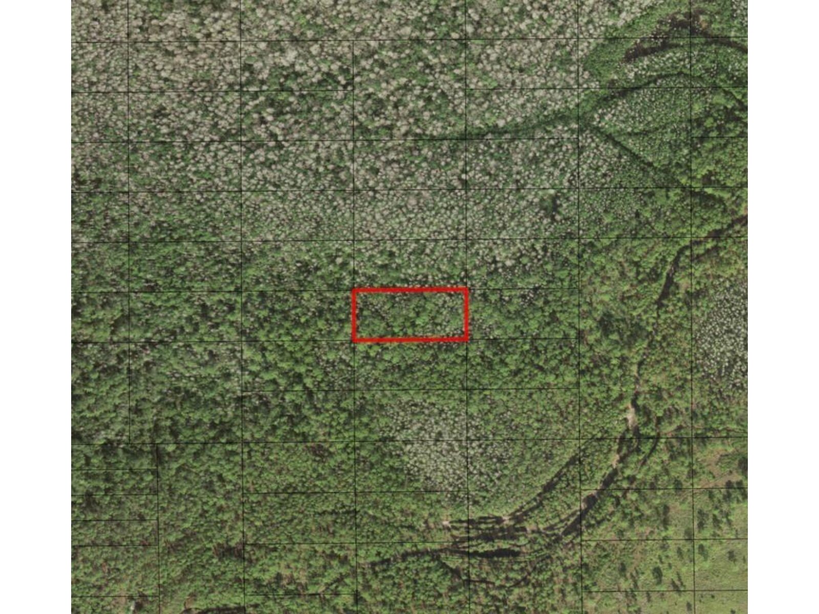 Image - 1