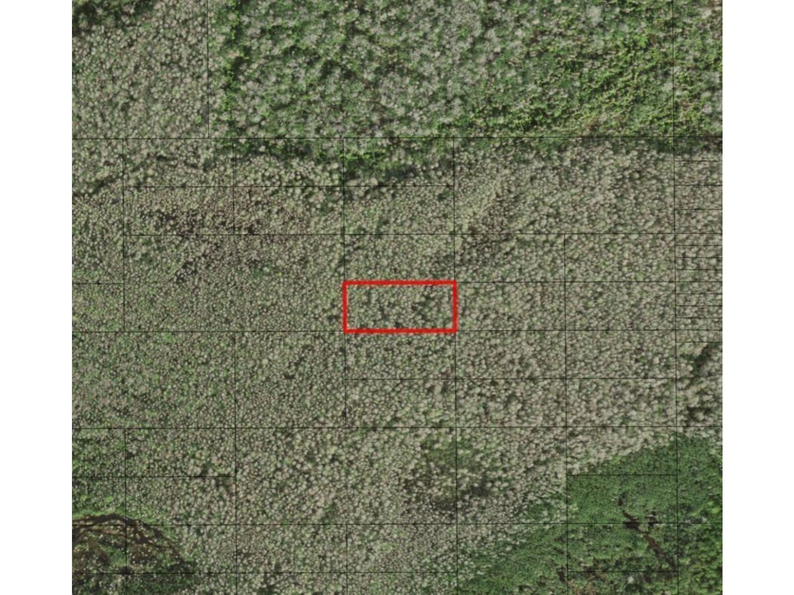 Image - 1