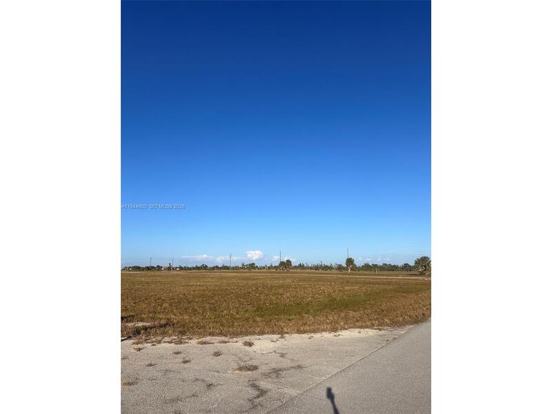Image - 1
