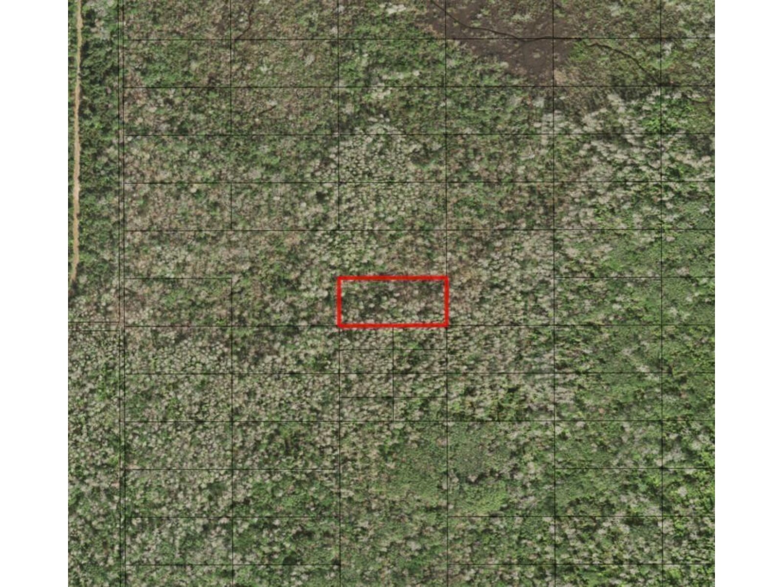 Image - 1
