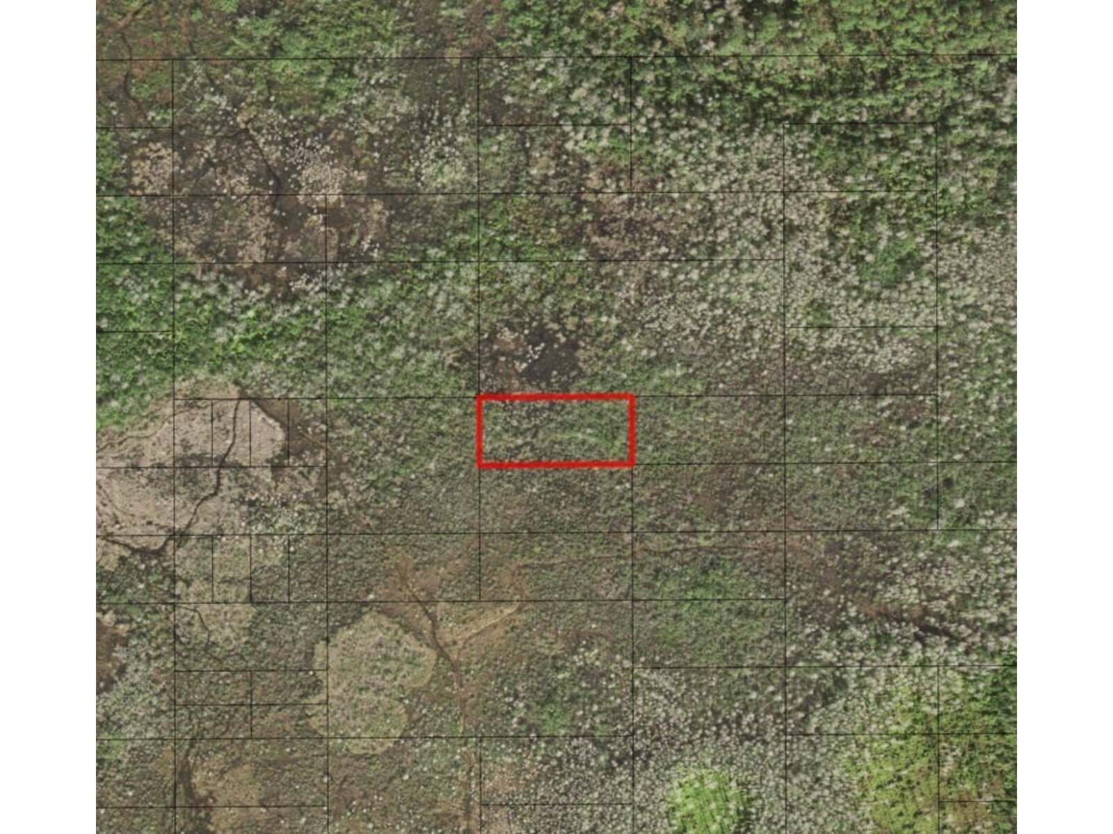 Image - 1