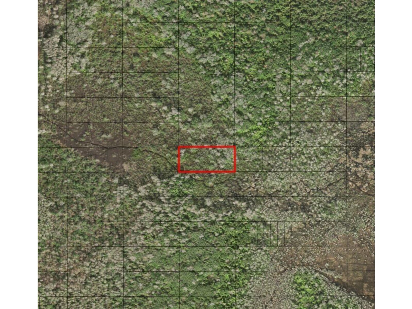 Image - 1