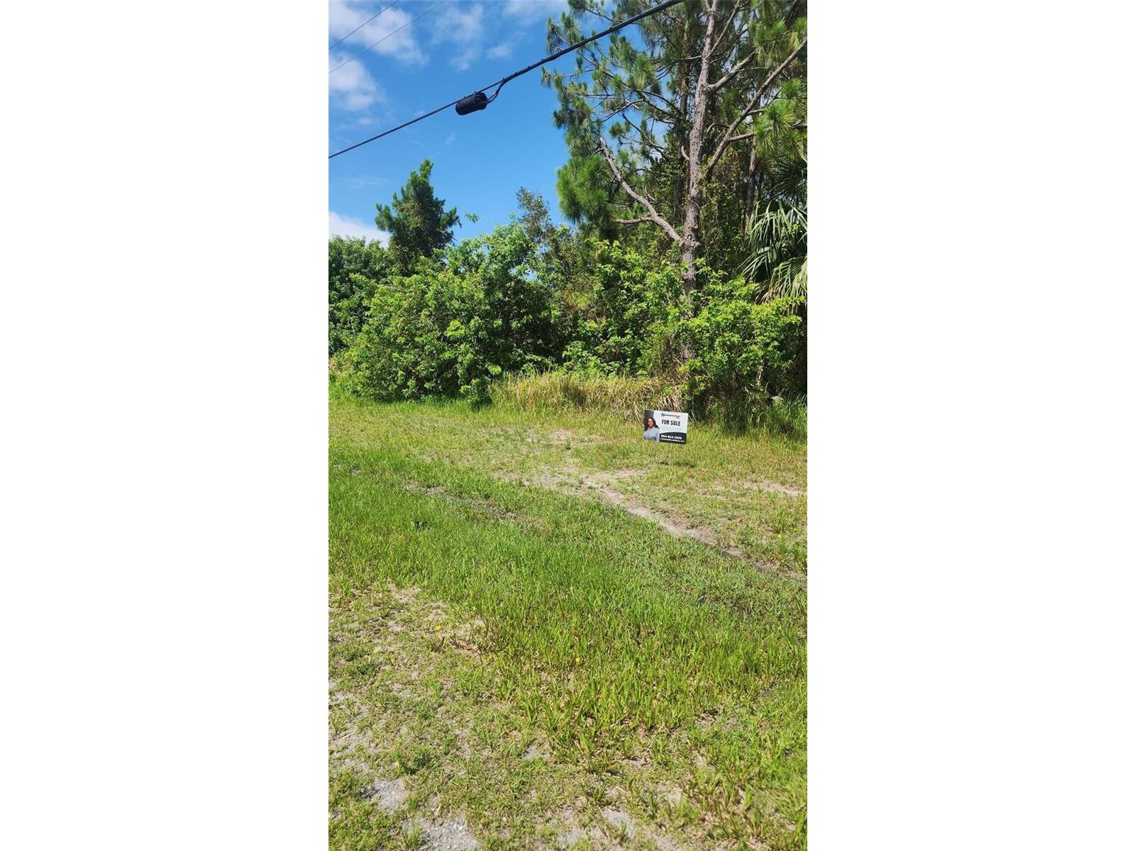 Image - 1