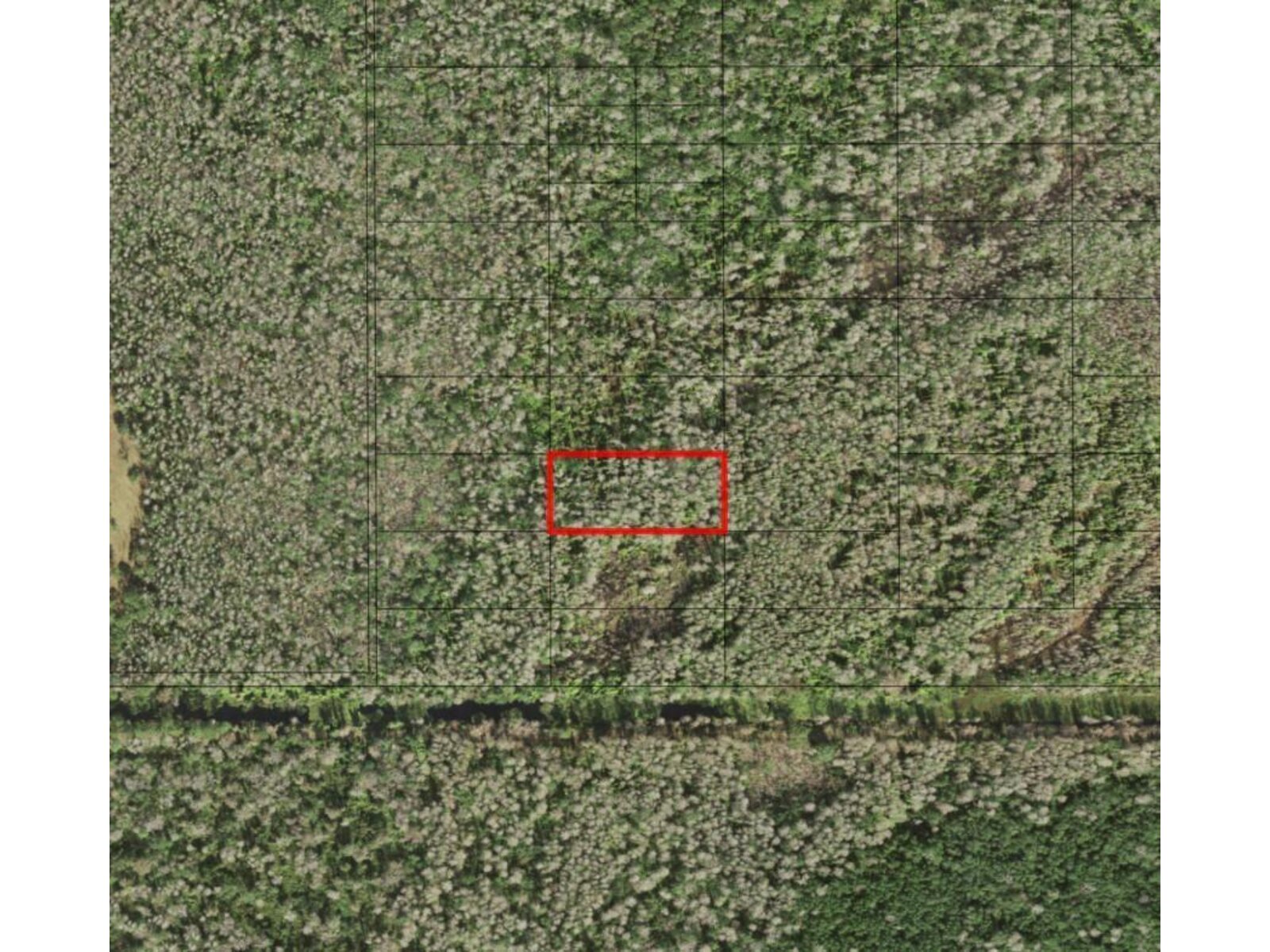 Image - 1