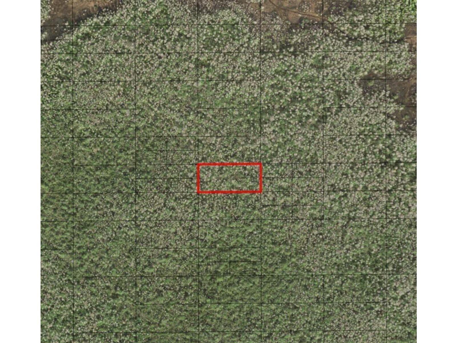 Image - 1