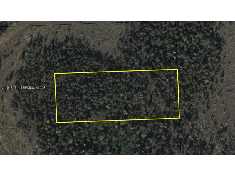 Image - 1