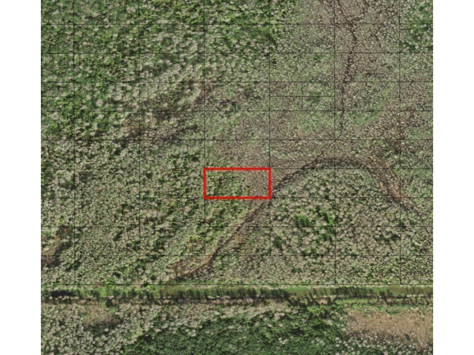 Image - 1