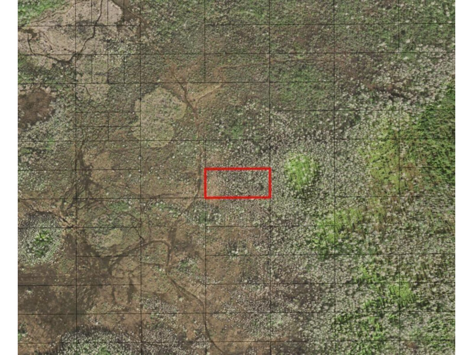 Image - 1