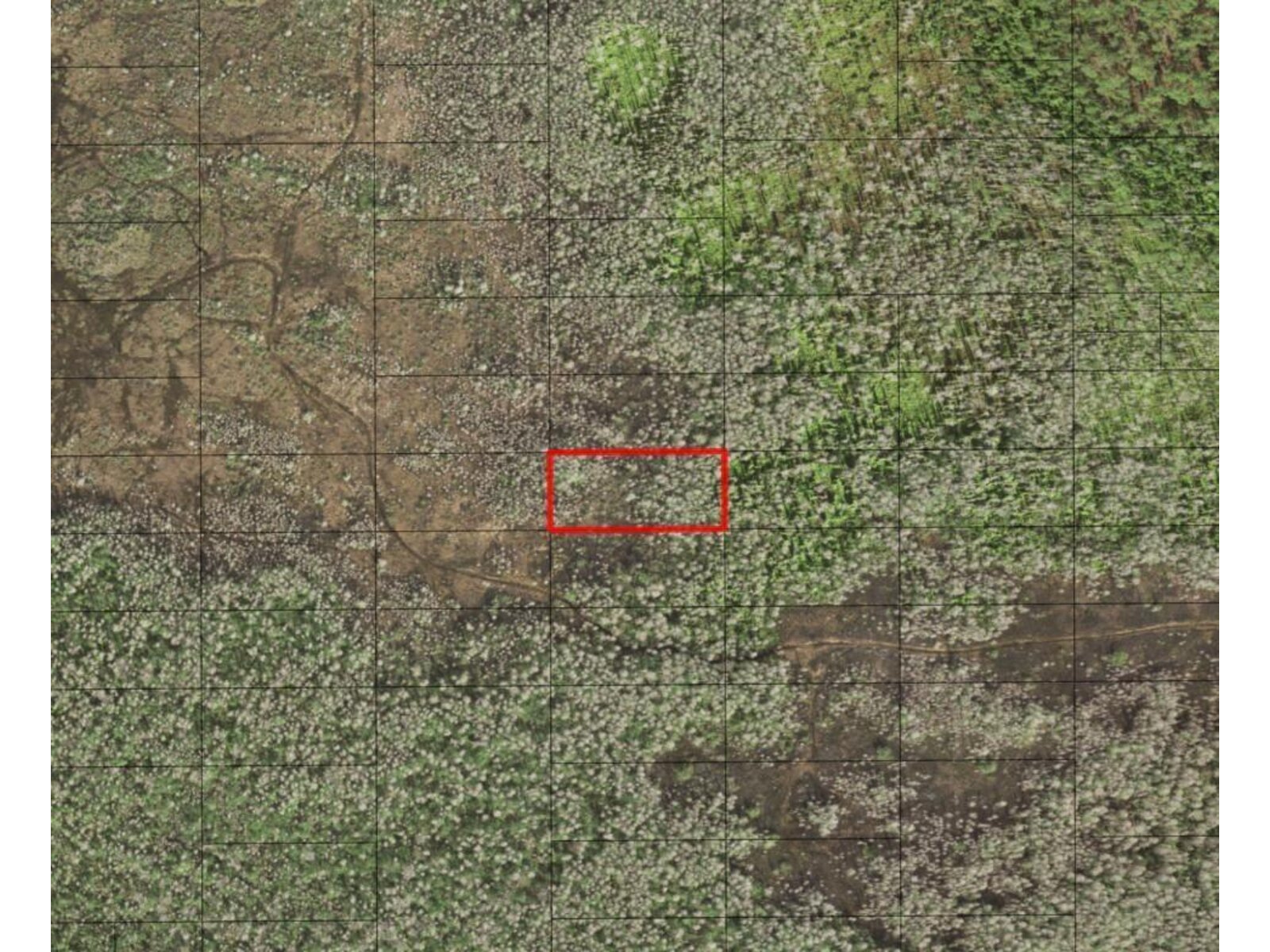 Image - 1