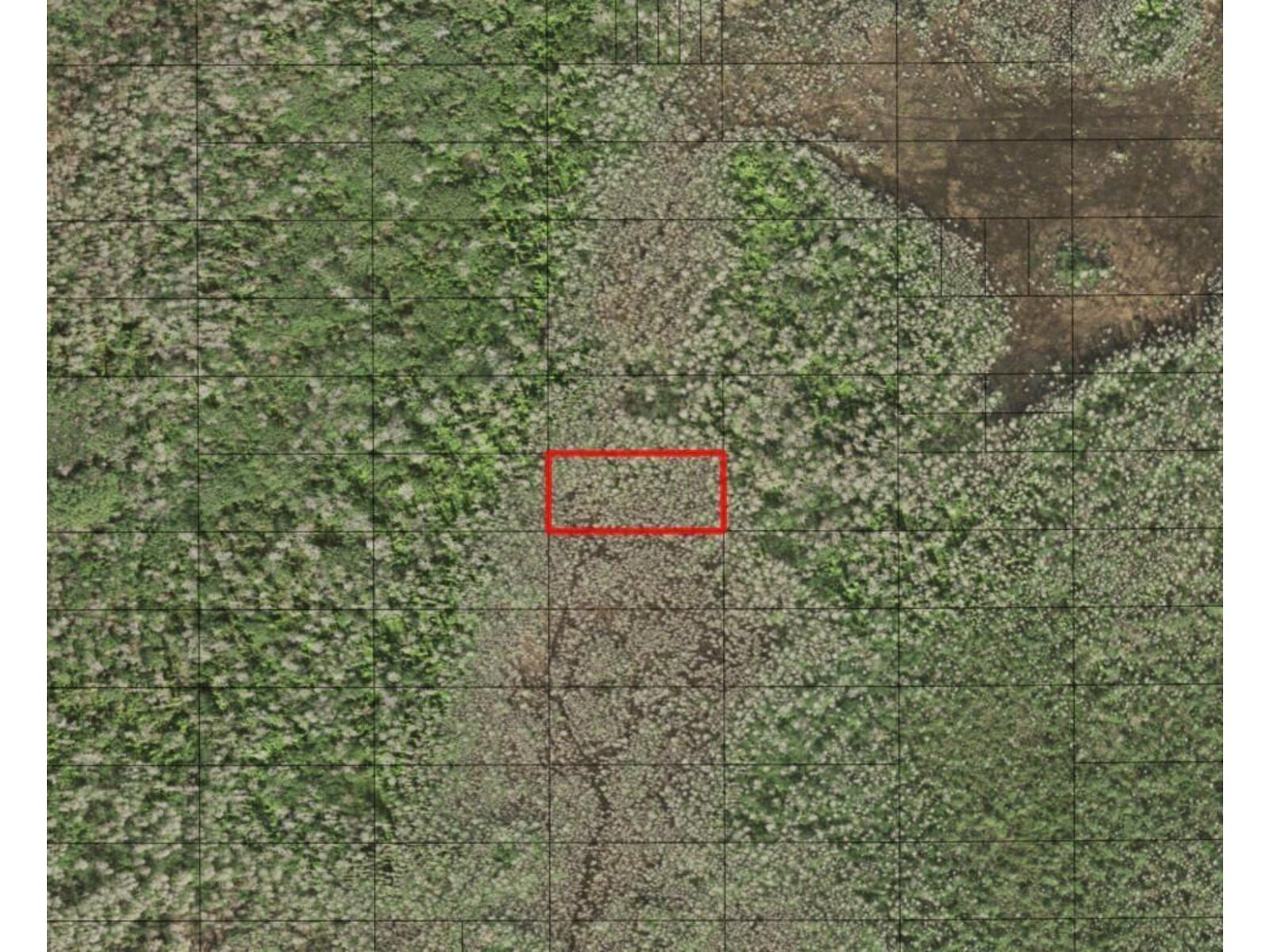 Image - 1