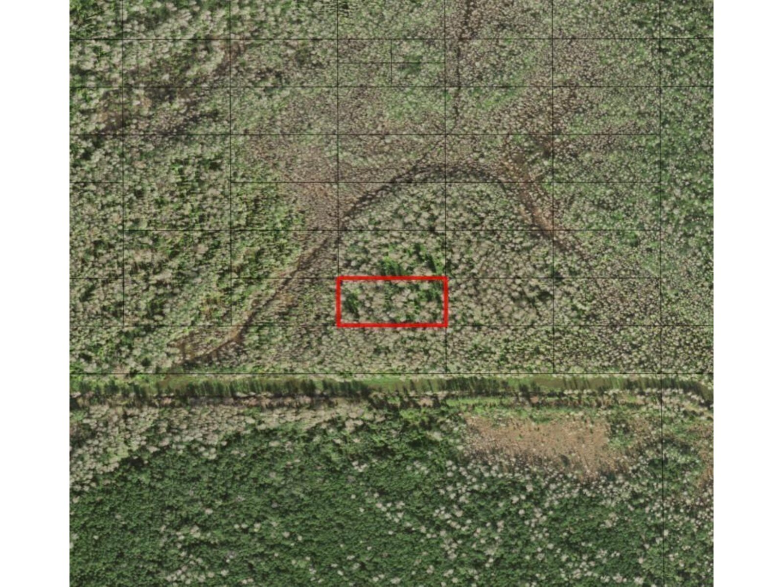 Image - 1