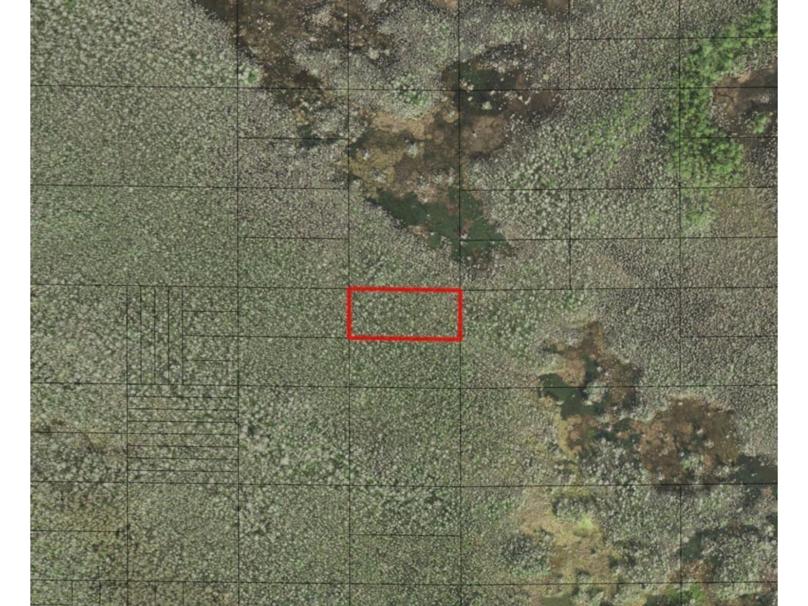 Image - 1