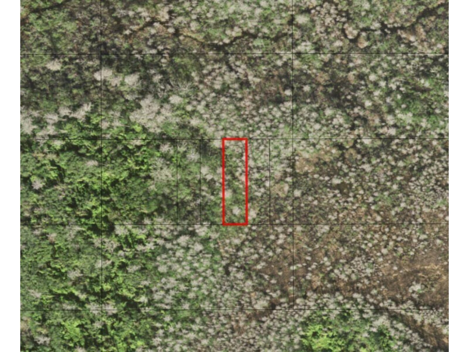 Image - 1