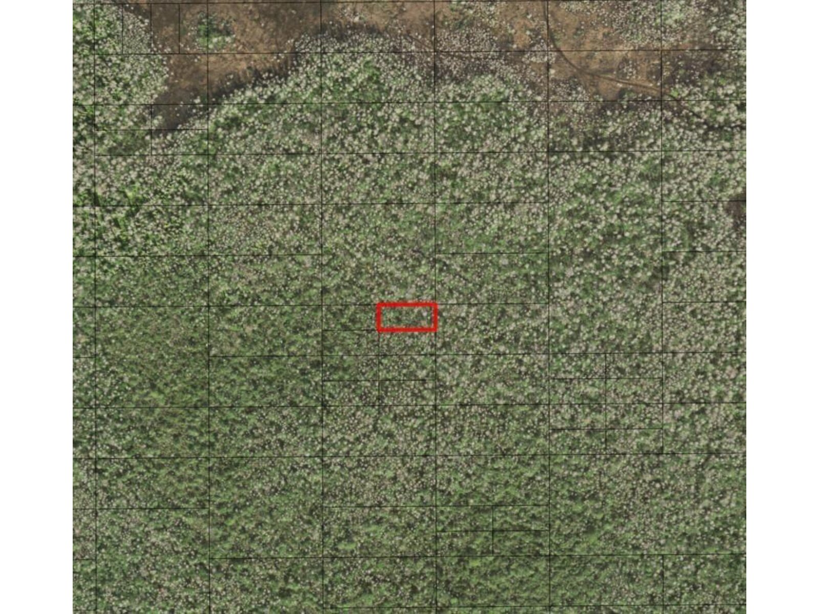 Image - 1