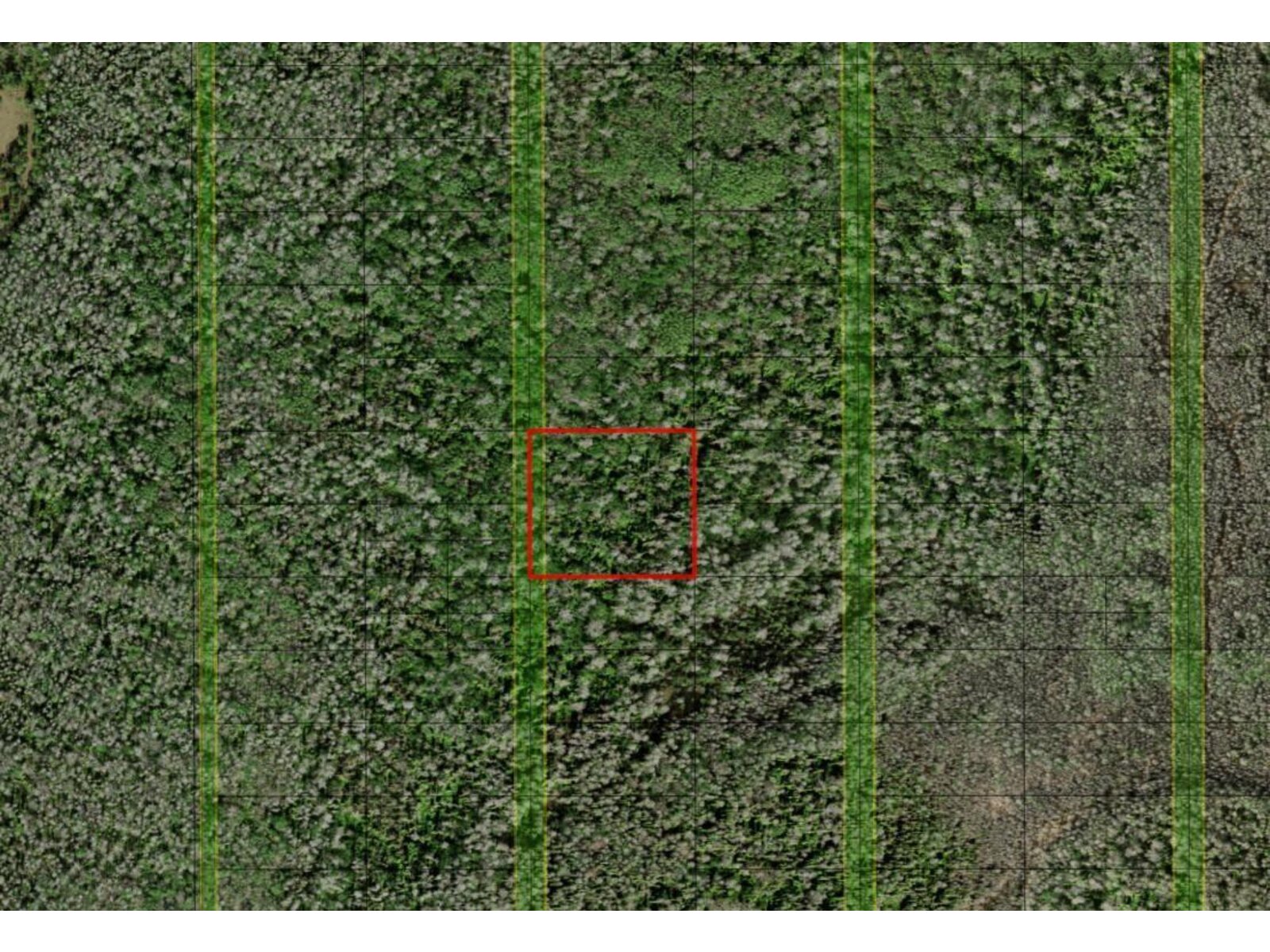 Image - 1