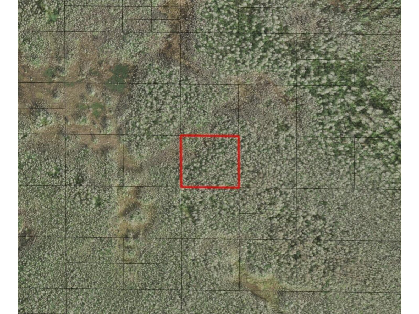 Image - 1