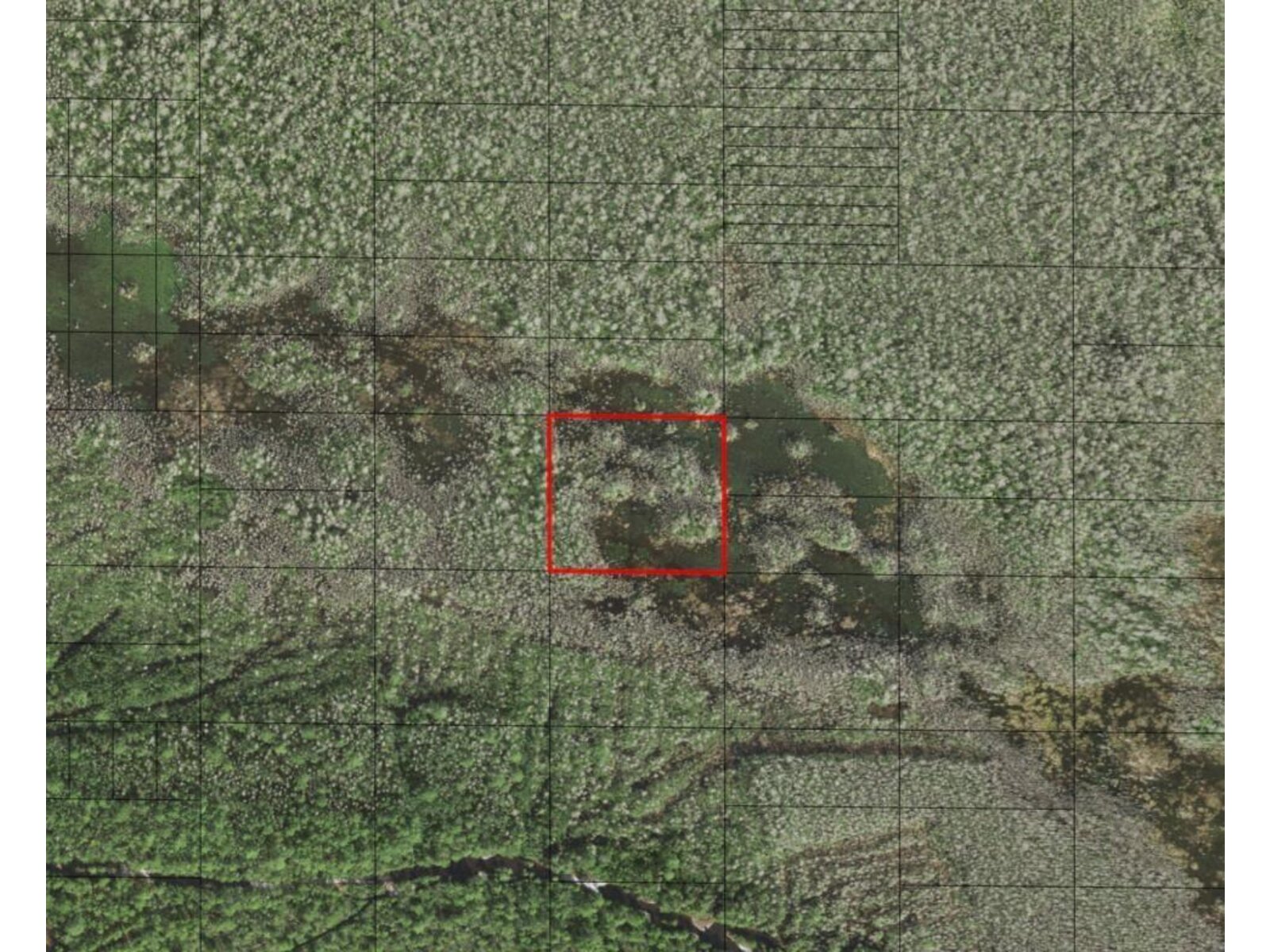 Image - 1