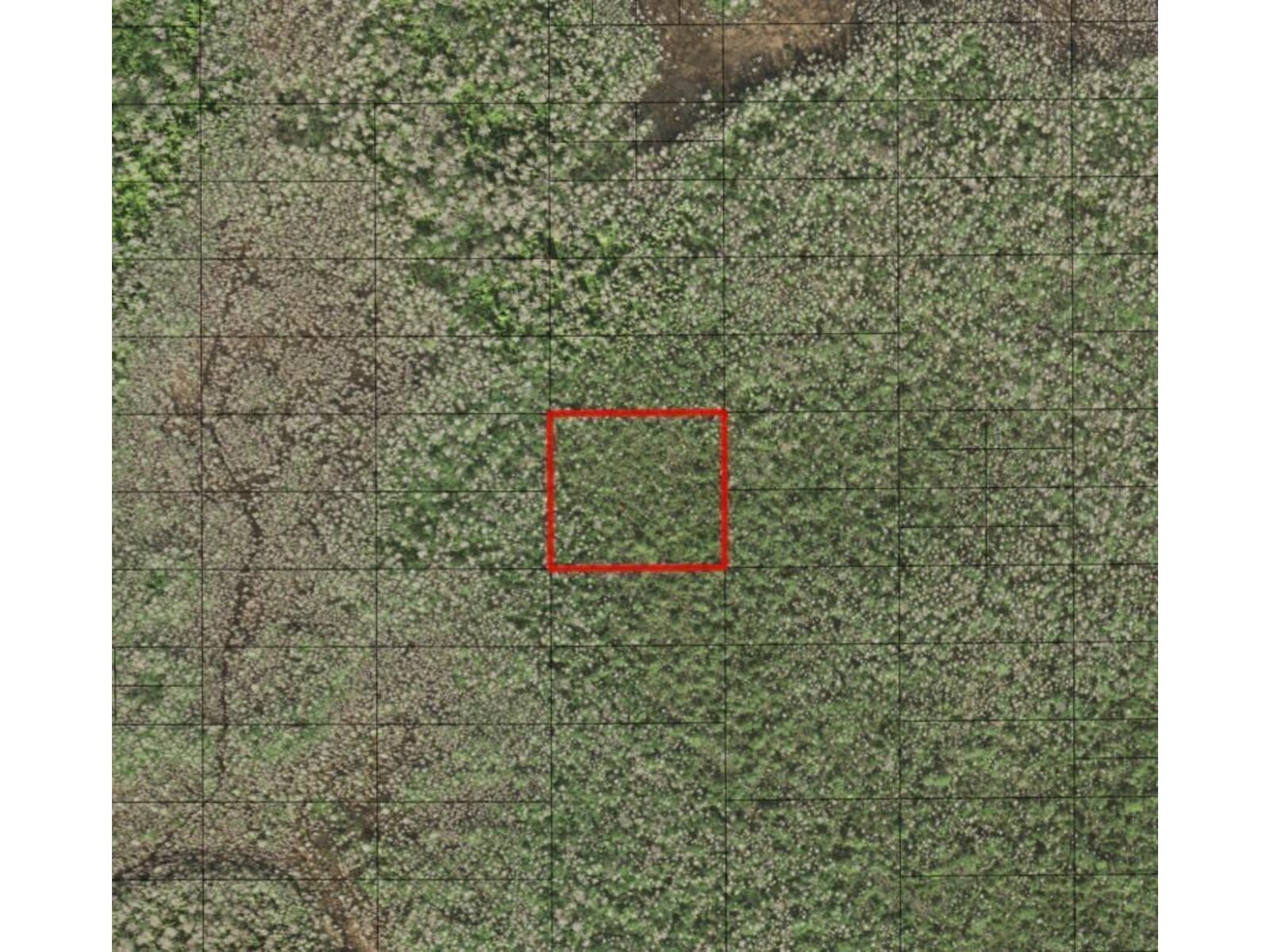 Image - 1