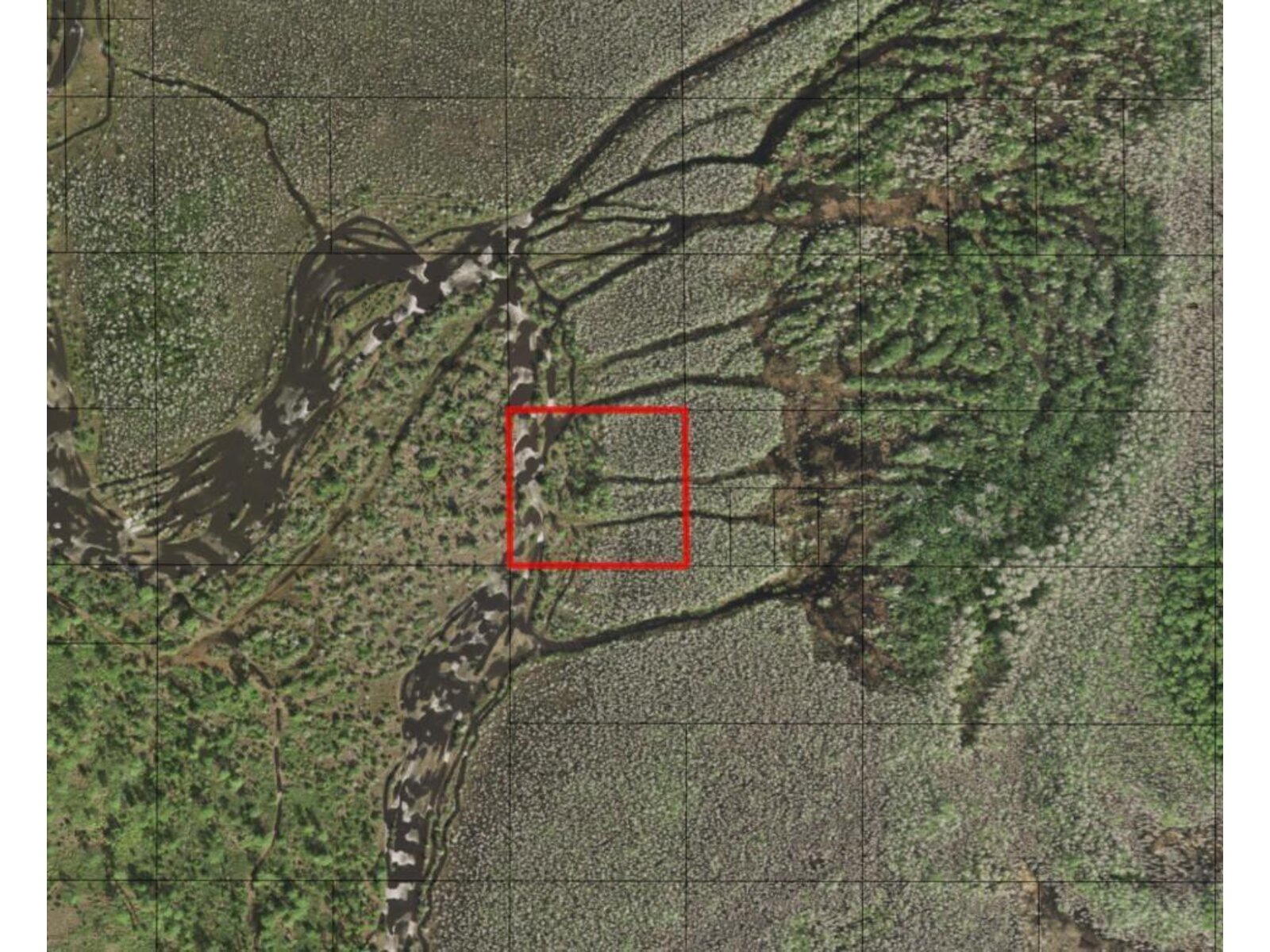 Image - 1