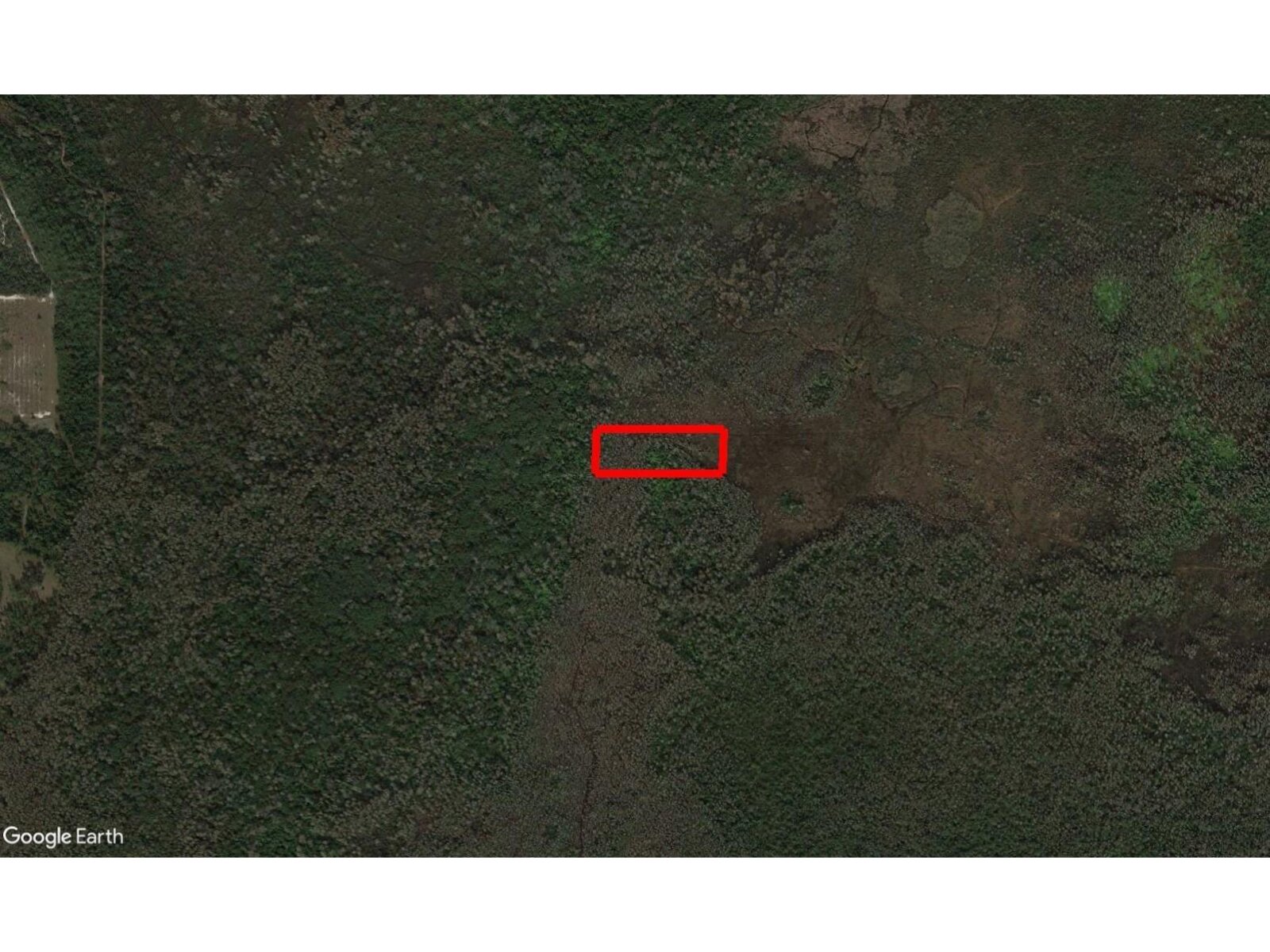 Image - 1
