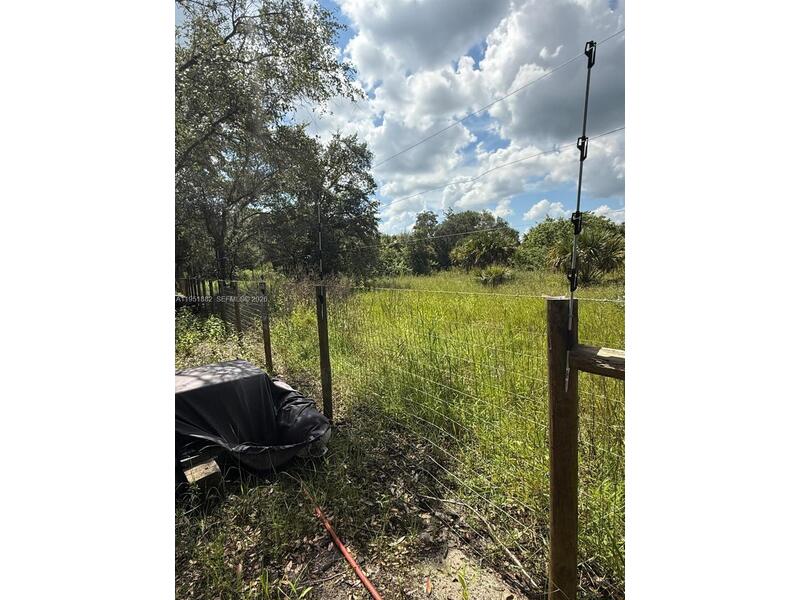 Image - 1