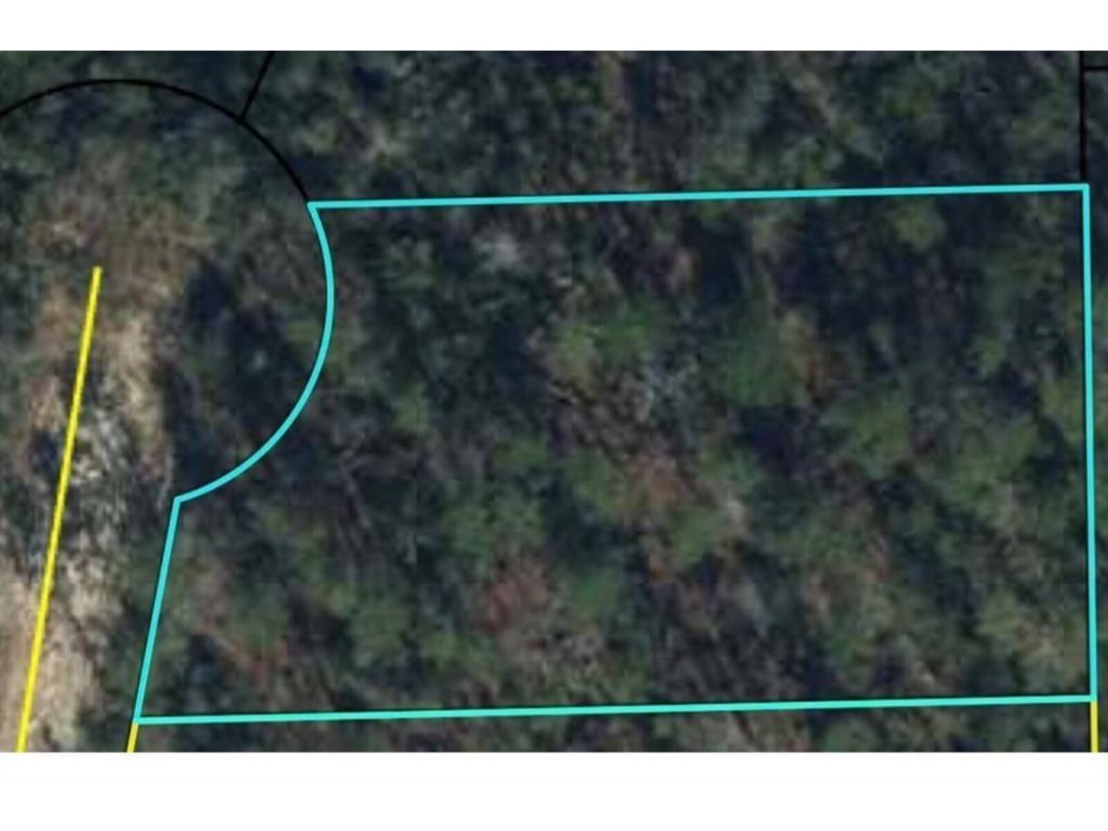 Image - 1