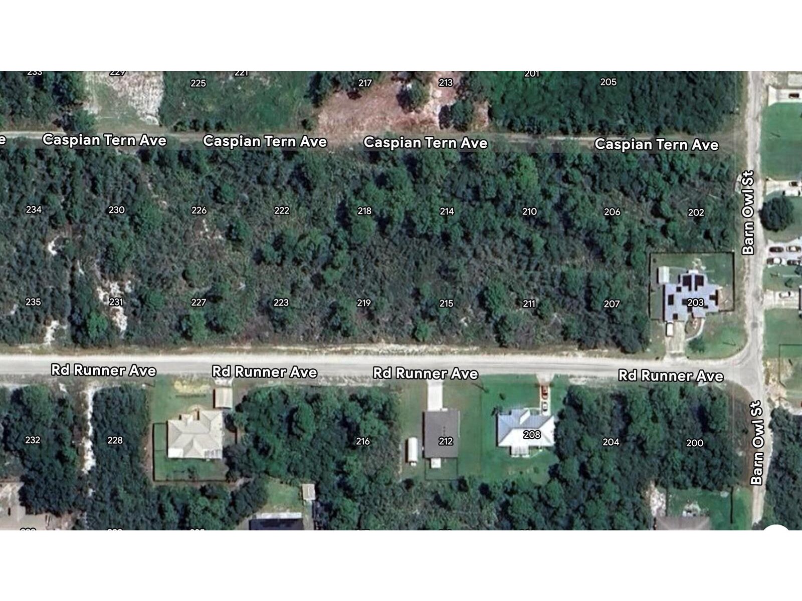 Image - 1