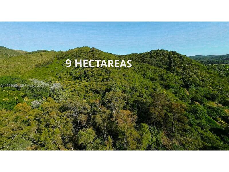 Image - 1