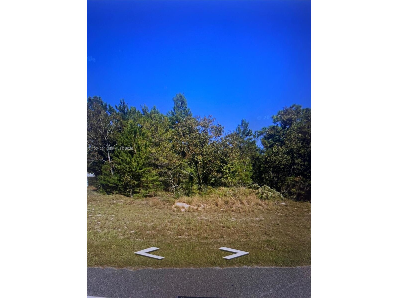 Image - 1