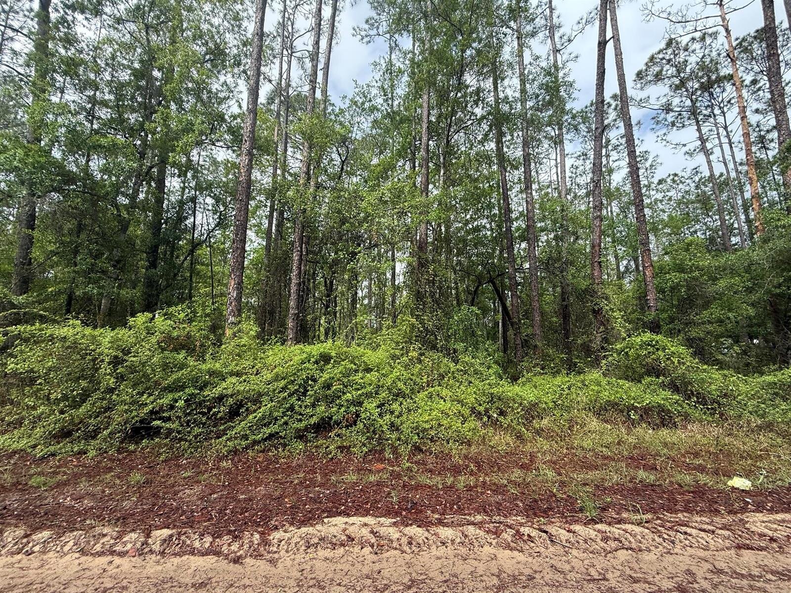 Image - 1
