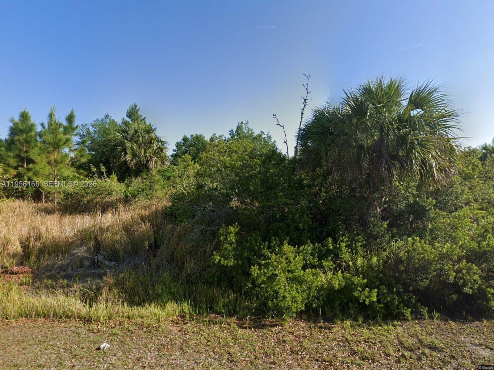 Image - 1