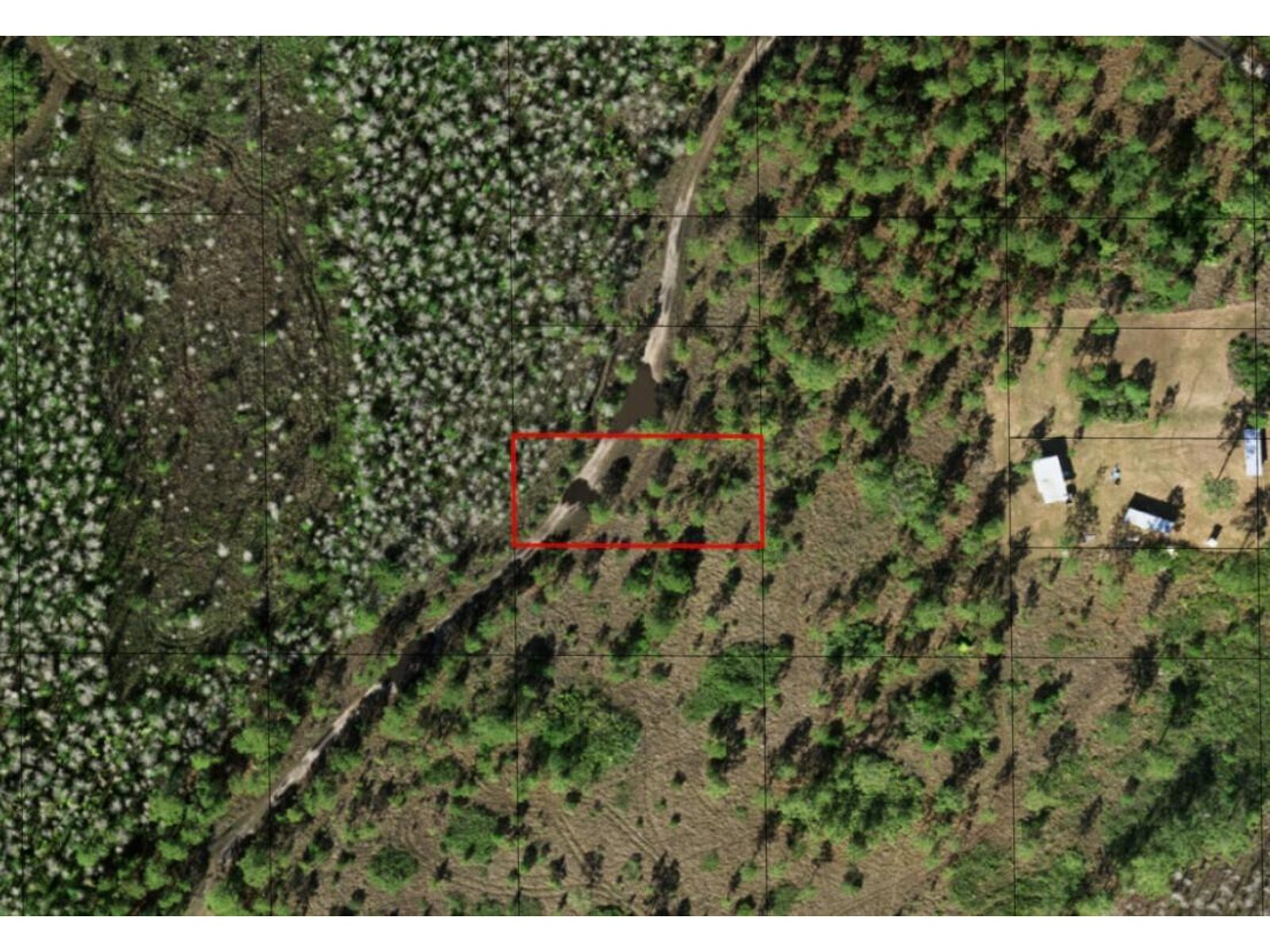 Image - 1