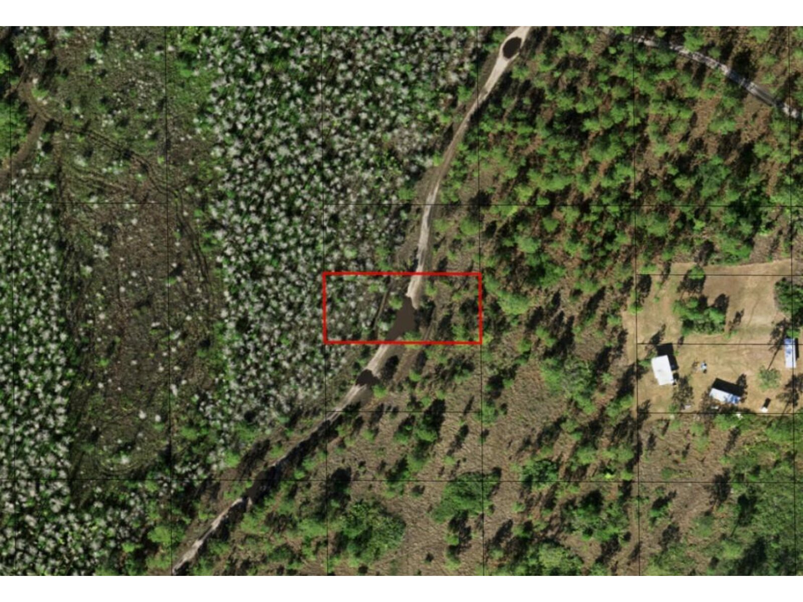 Image - 1