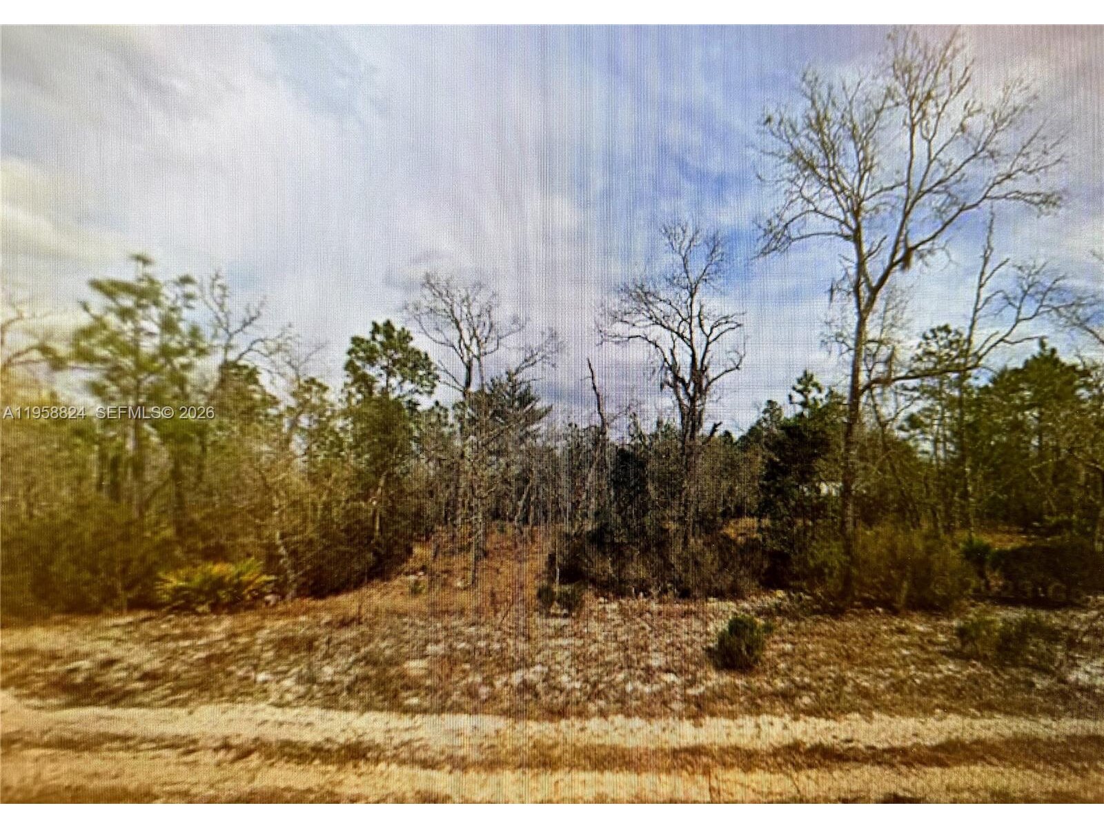 Image - 1