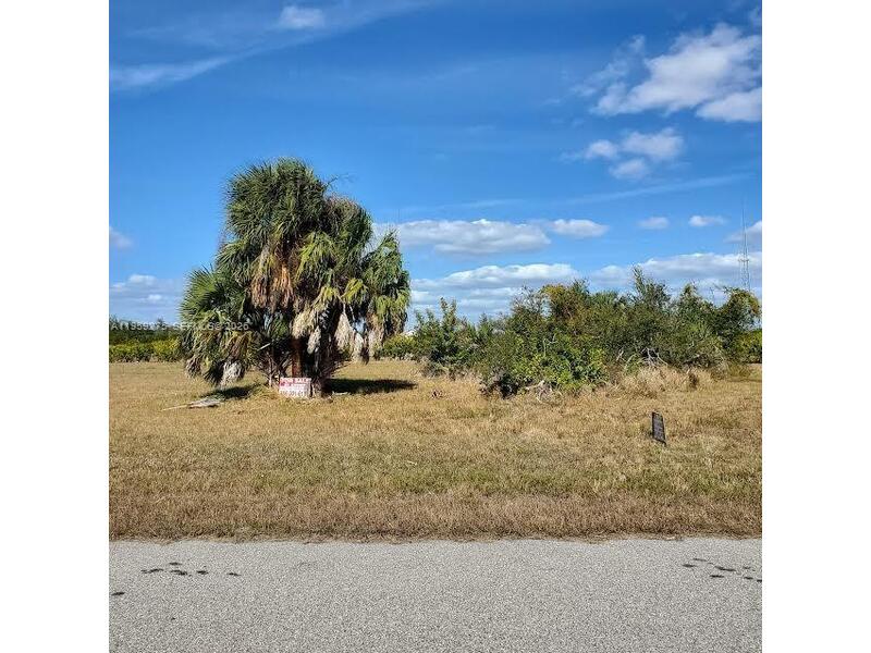 Image - 1