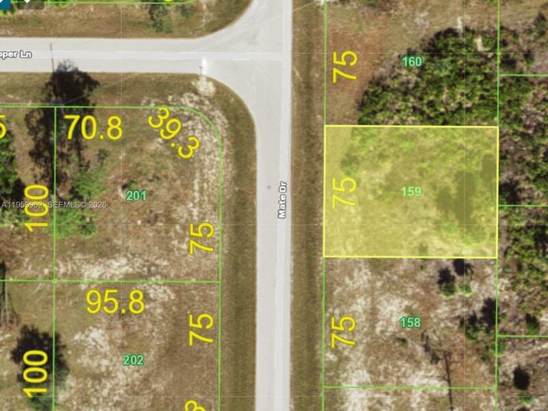 Image - 1